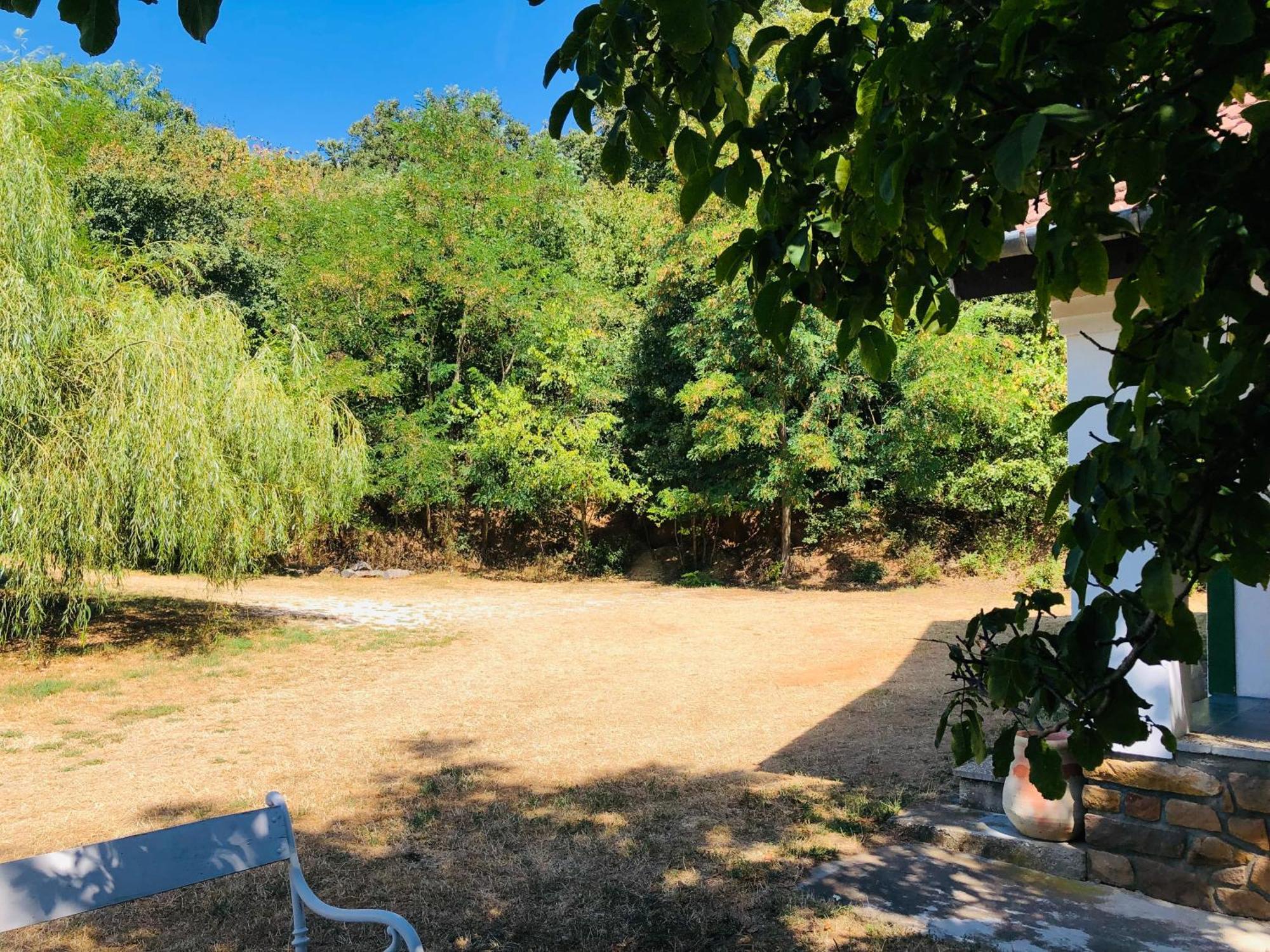 Aligvár Vendégház Salfold Kültér fotó