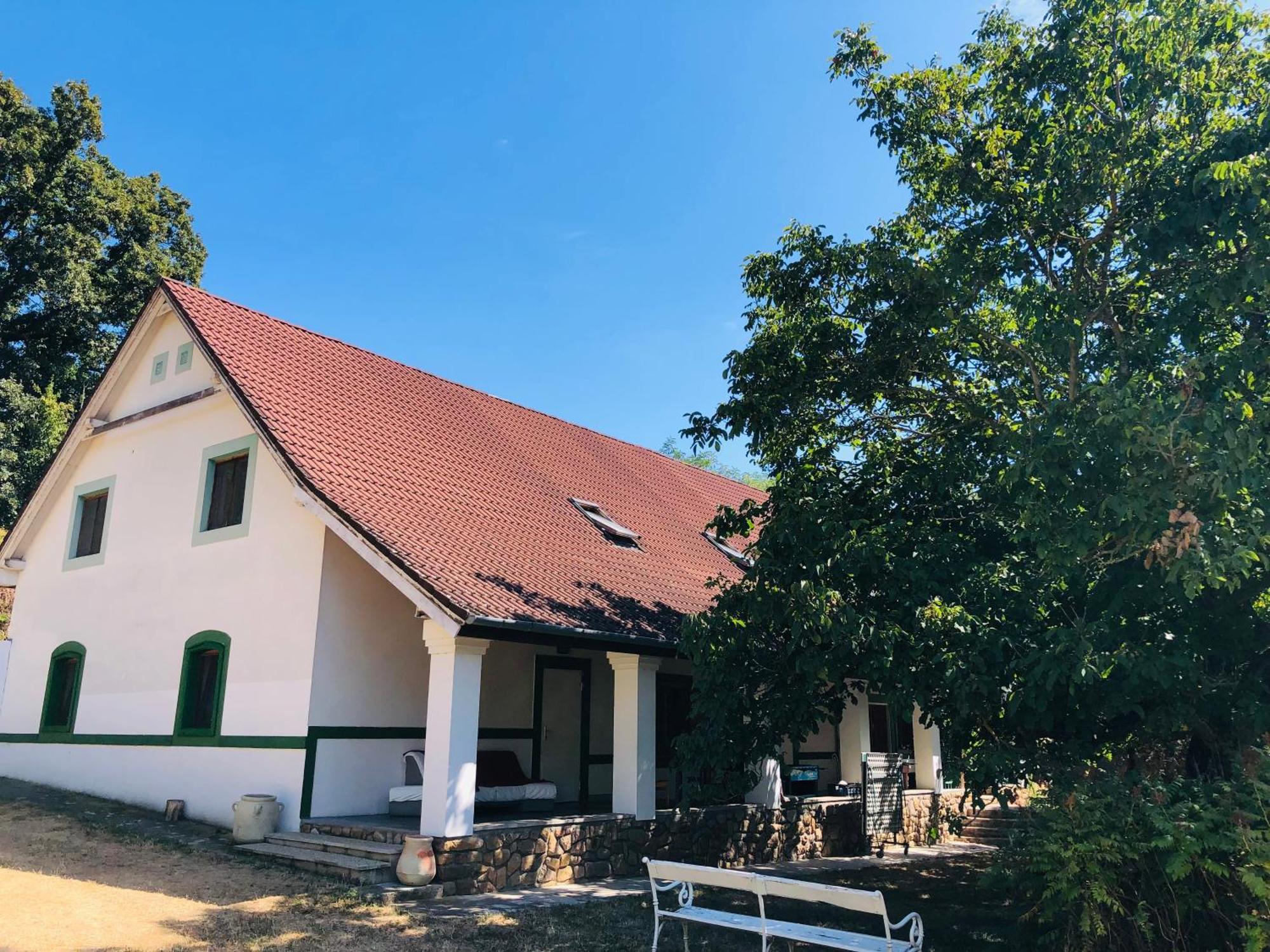 Aligvár Vendégház Salfold Kültér fotó